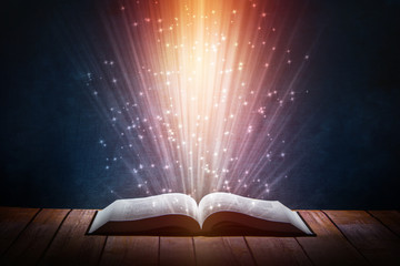 中国河南省有多少种毒蛇？