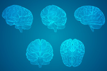 高瞻课程的优缺点