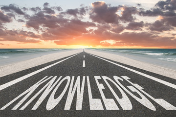 中国河南省有多少种毒蛇？