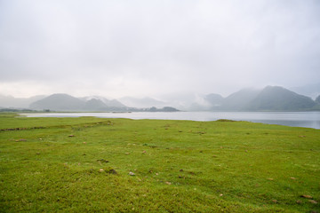 中国河南省有多少种毒蛇？