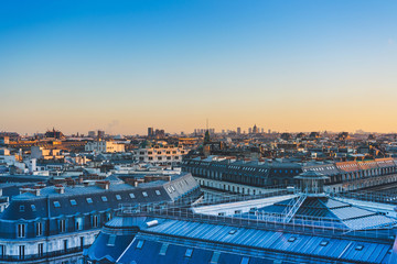 少儿百科知识大全选择题及答案