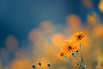 四川景点排行榜前十名