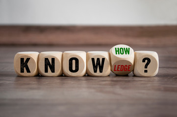 中国河南省有多少种毒蛇？