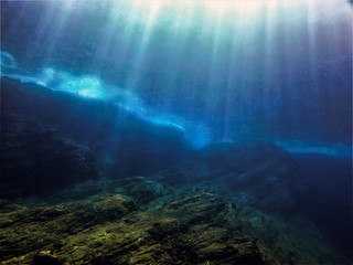 有趣的动物二年级写话怎么写？