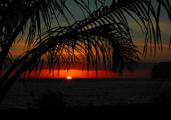 社区居委会依据国家法律法规和政策