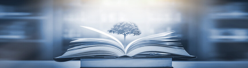 少儿百科知识大全选择题及答案