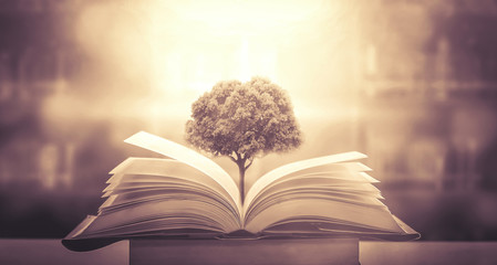 养生保健小知识整理