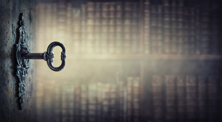 中国河南省有多少种毒蛇？