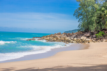 少儿百科知识大全选择题及答案