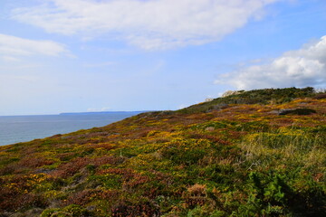 上海花卉博览会展园介绍