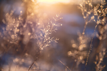 社区居委会依据国家法律法规和政策