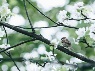 关于文房四宝的古诗