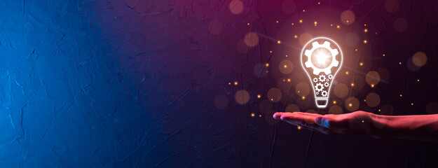 中国河南省有多少种毒蛇？