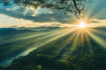 中国河南省有多少种毒蛇？