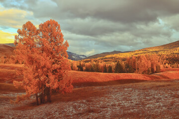 求一篇英语演讲稿 不要太难 四年级的 能一分钟说完的