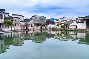 我的粉掌有什么病呢？