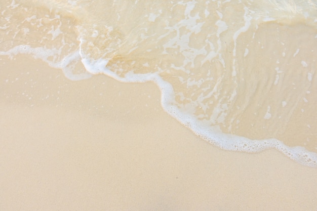 象征感恩的颜色是什么？