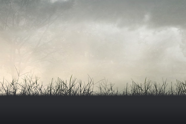 微课形式有哪些【微课的定义.形式和基本录制要求】