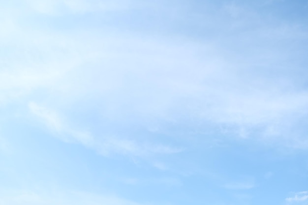 求一篇英语演讲稿 不要太难 四年级的 能一分钟说完的