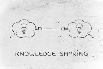 有趣的动物二年级写话怎么写？